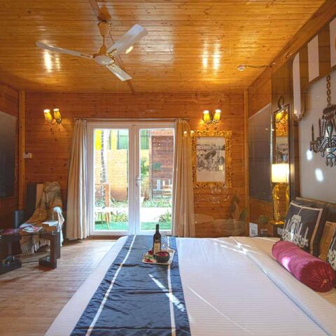 estrela-do-mar-calangute-goa-holiday-waves